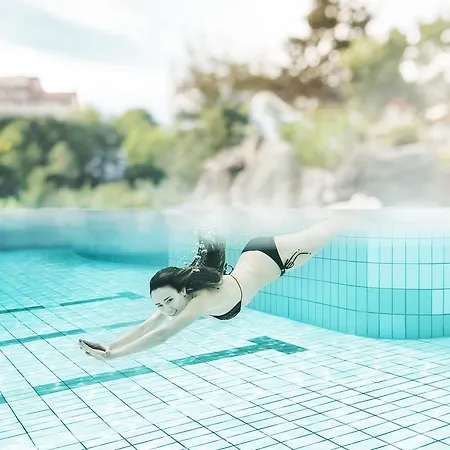 Birkenhof Loipersdorf בית הארחה לויפרסדורף ביי פורסטנפלד