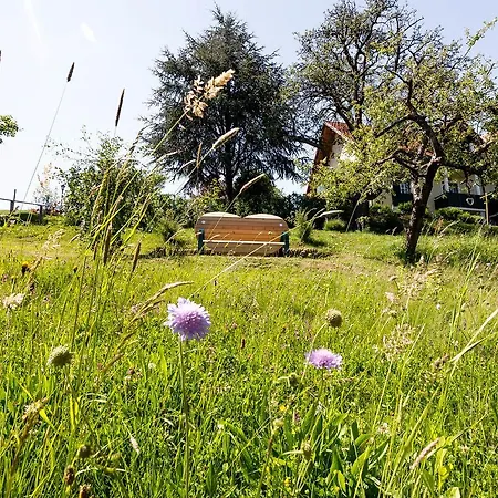 Birkenhof Loipersdorf Pensjonat 3*