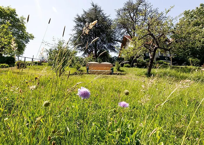 Birkenhof Loipersdorf Casa de hóspedes 3*